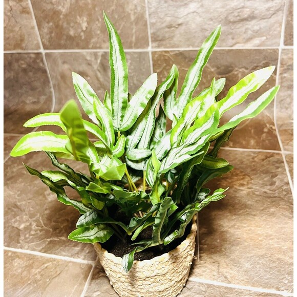 Threshold 12" Faux Fern Artificial Plant with Rattan Pot Basket - New - Picture 2 of 7